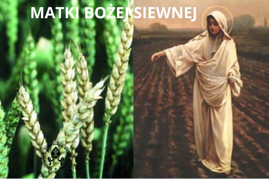 MATKI BOŻEJ SIEWNEJ